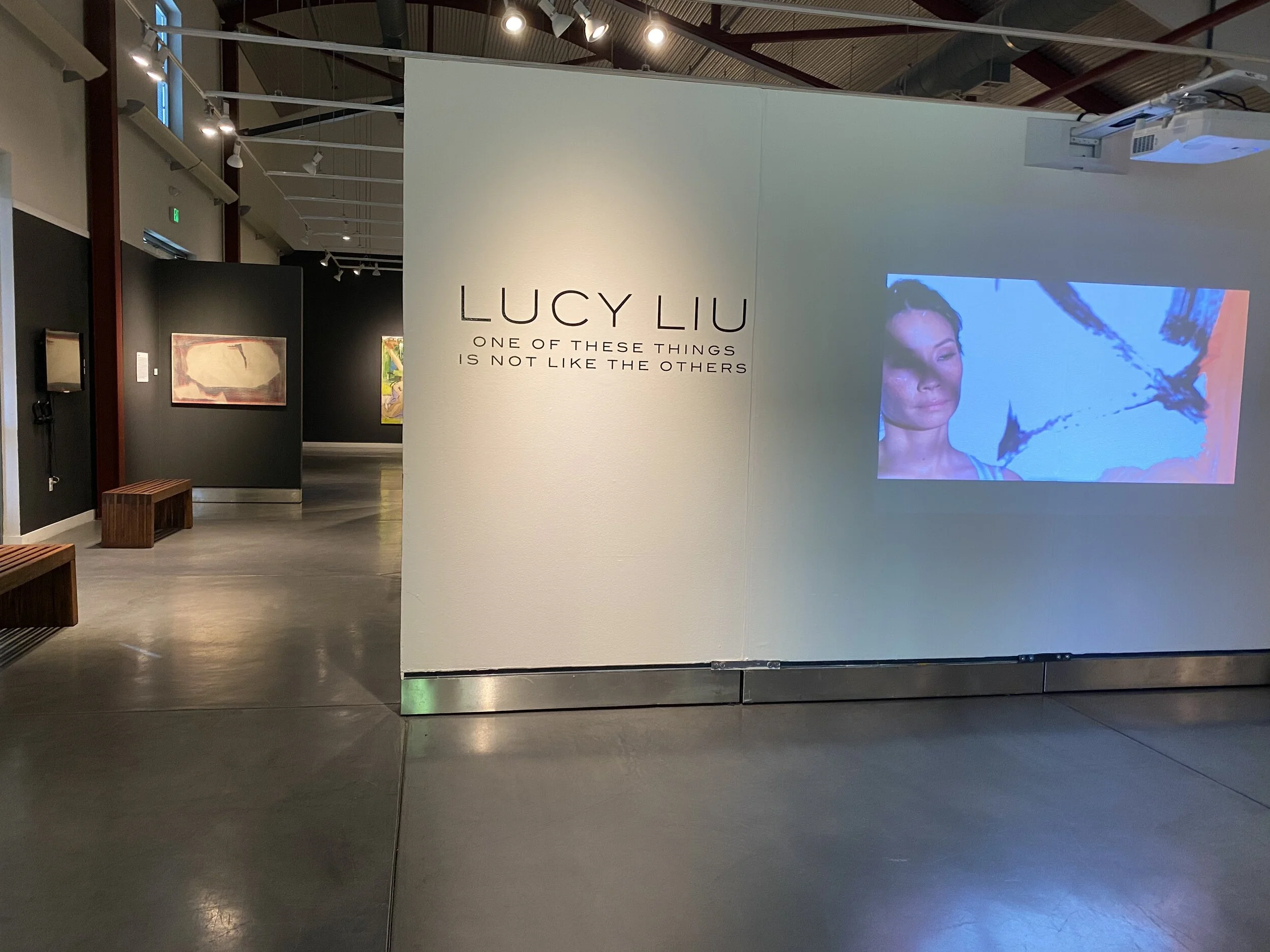 Lucy Liu in Napa - Did you know she is an accomplished artist?