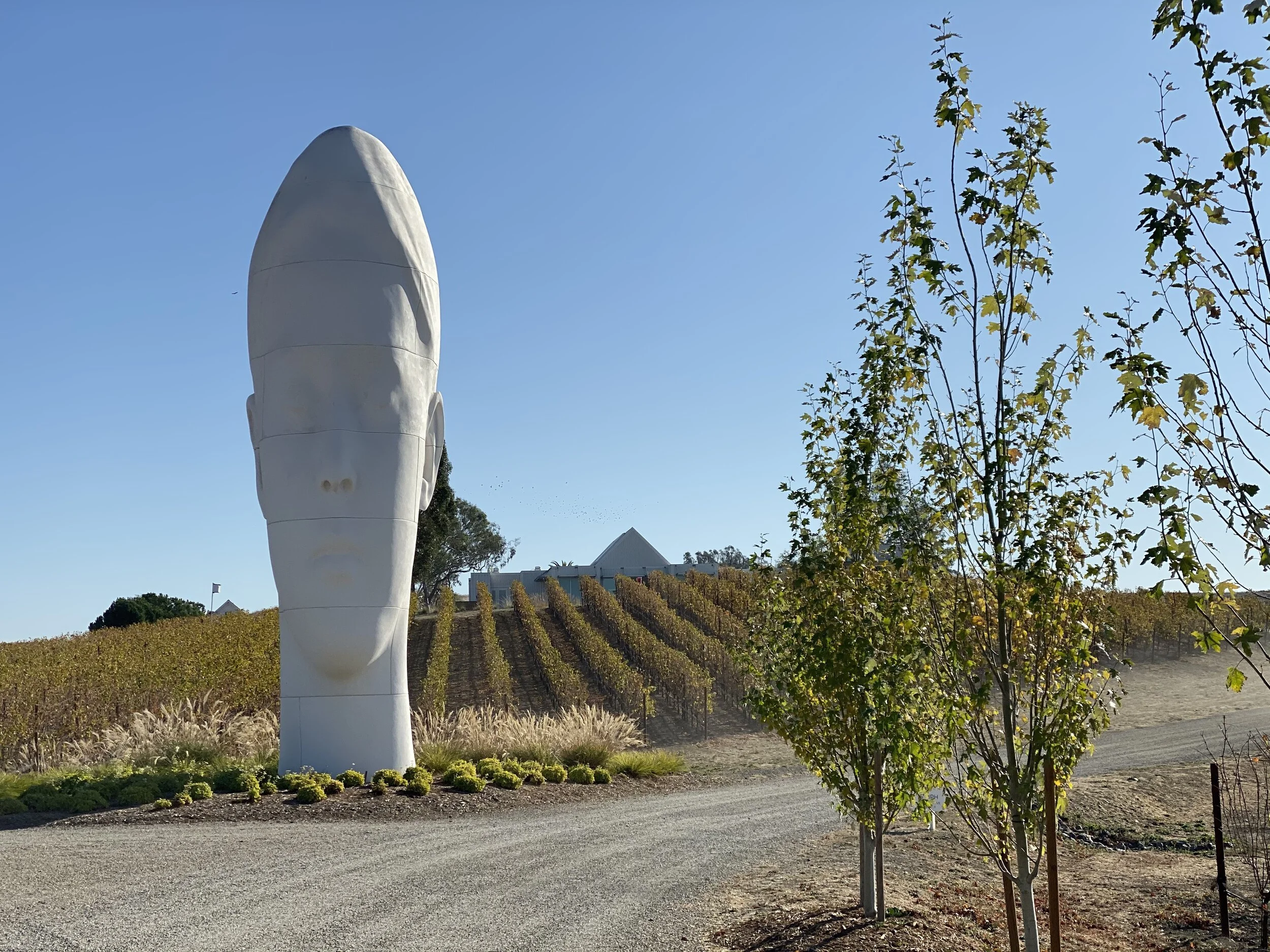 The Donum Estate  - an art and wine lovers dream
