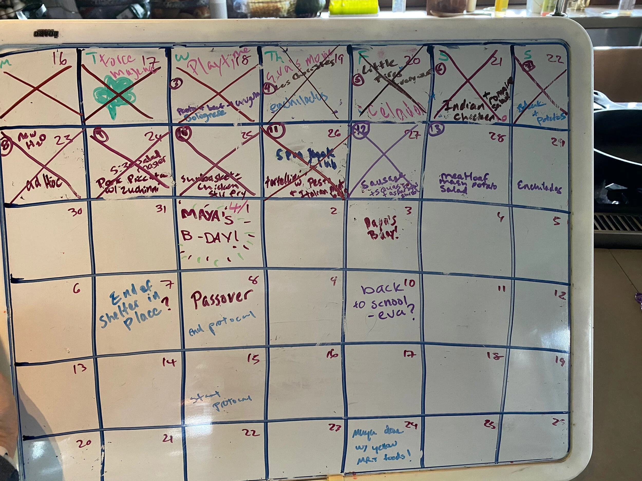 Our hibernation calendar