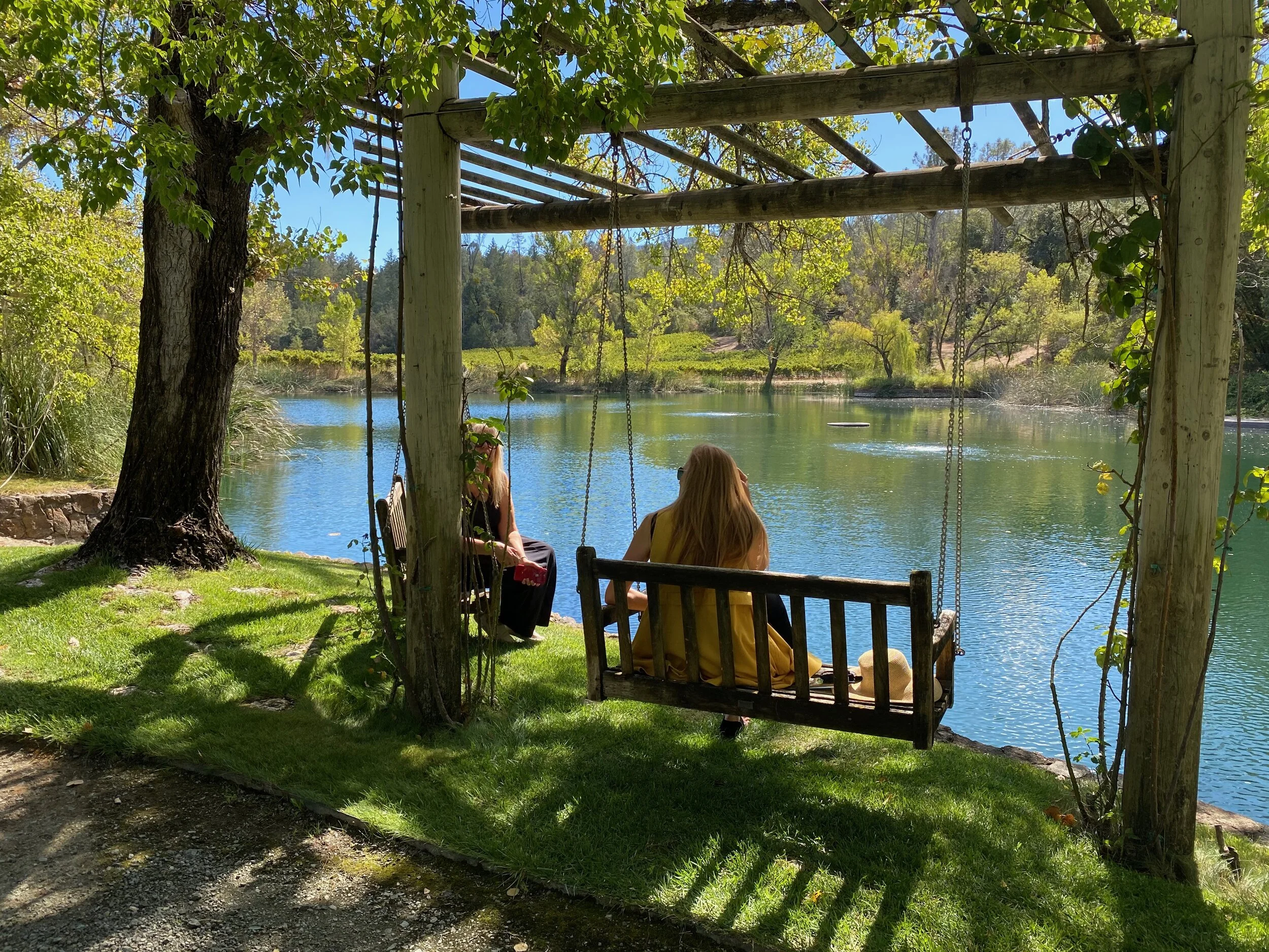 Sinegal- Elegant Wines and a Secret Garden