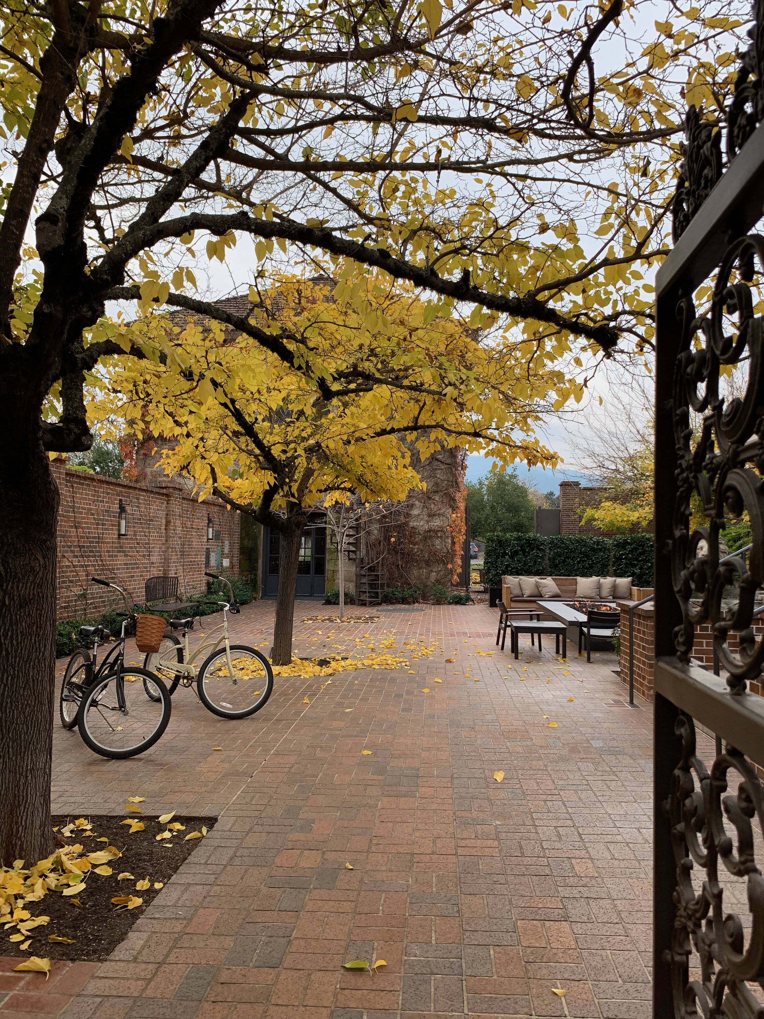 Courtyard in the Fall