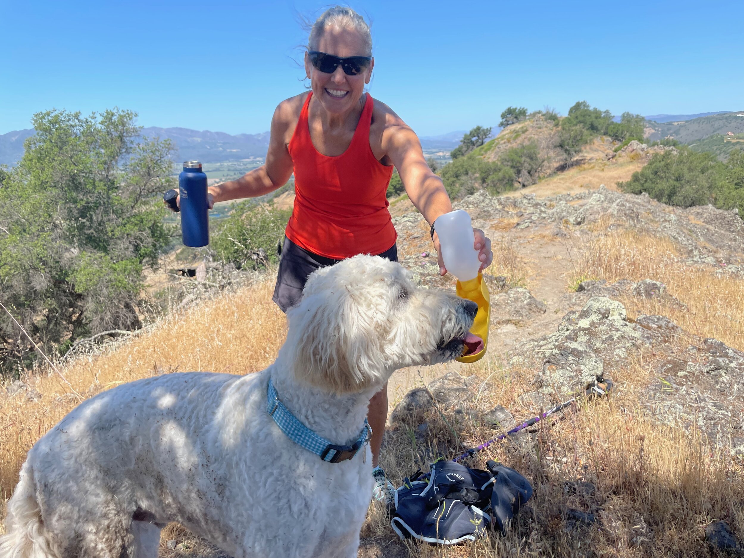 Adventurous dogs will enjoy, but bring water!
