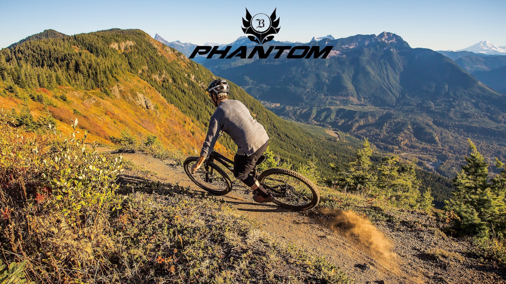 Phantom.jpg