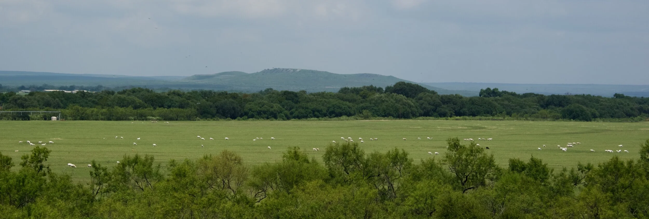 top hill.jpg
