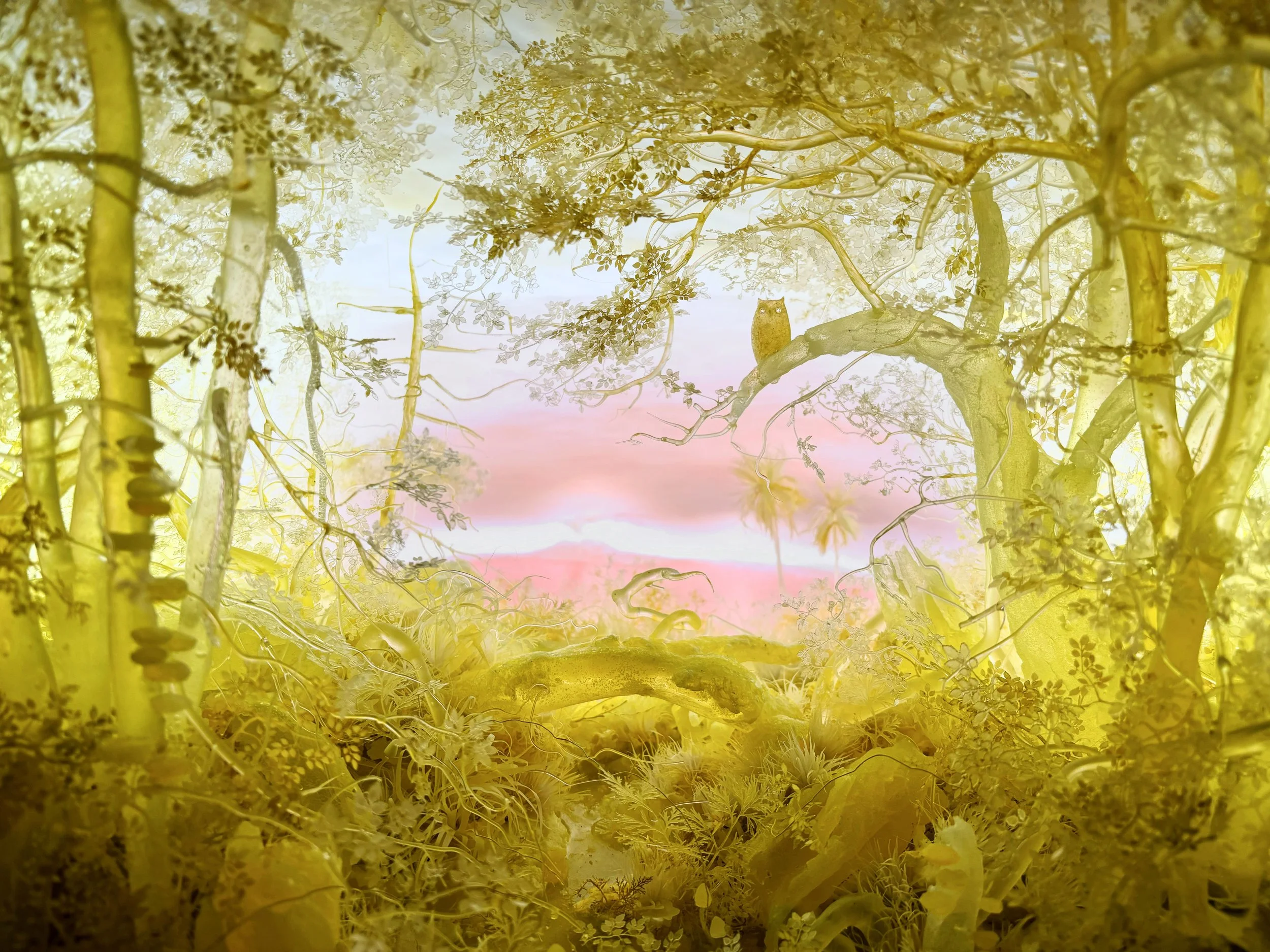 Yellow Owl Homepage copy.jpg