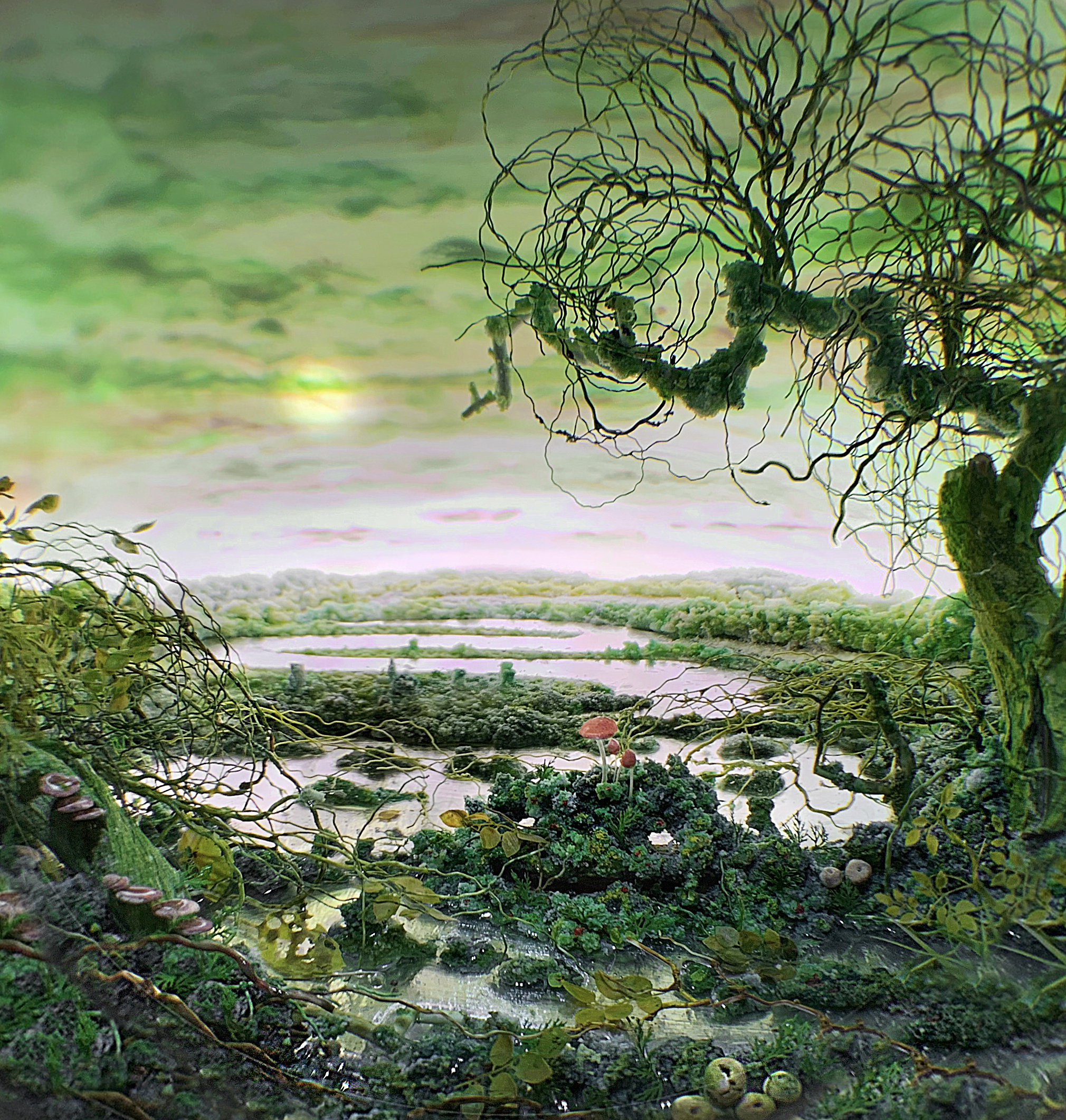 Detail: Swamp Nocturne, 2019