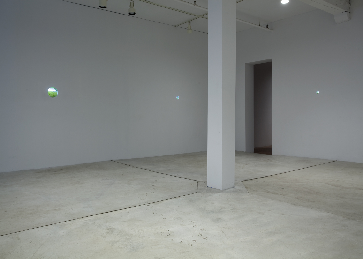 Installation View: Foreign Terrain, 2011