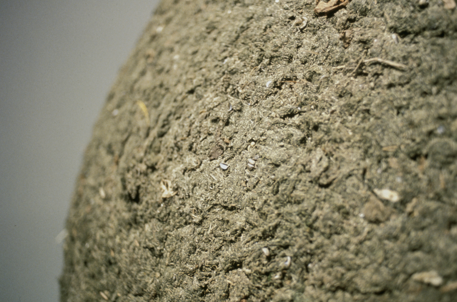 Detail: The Tension of Improbability, 1999