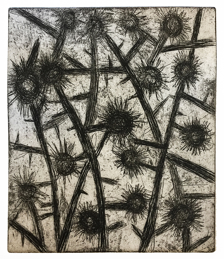 Thistles #1 (Nocturnes), 2018