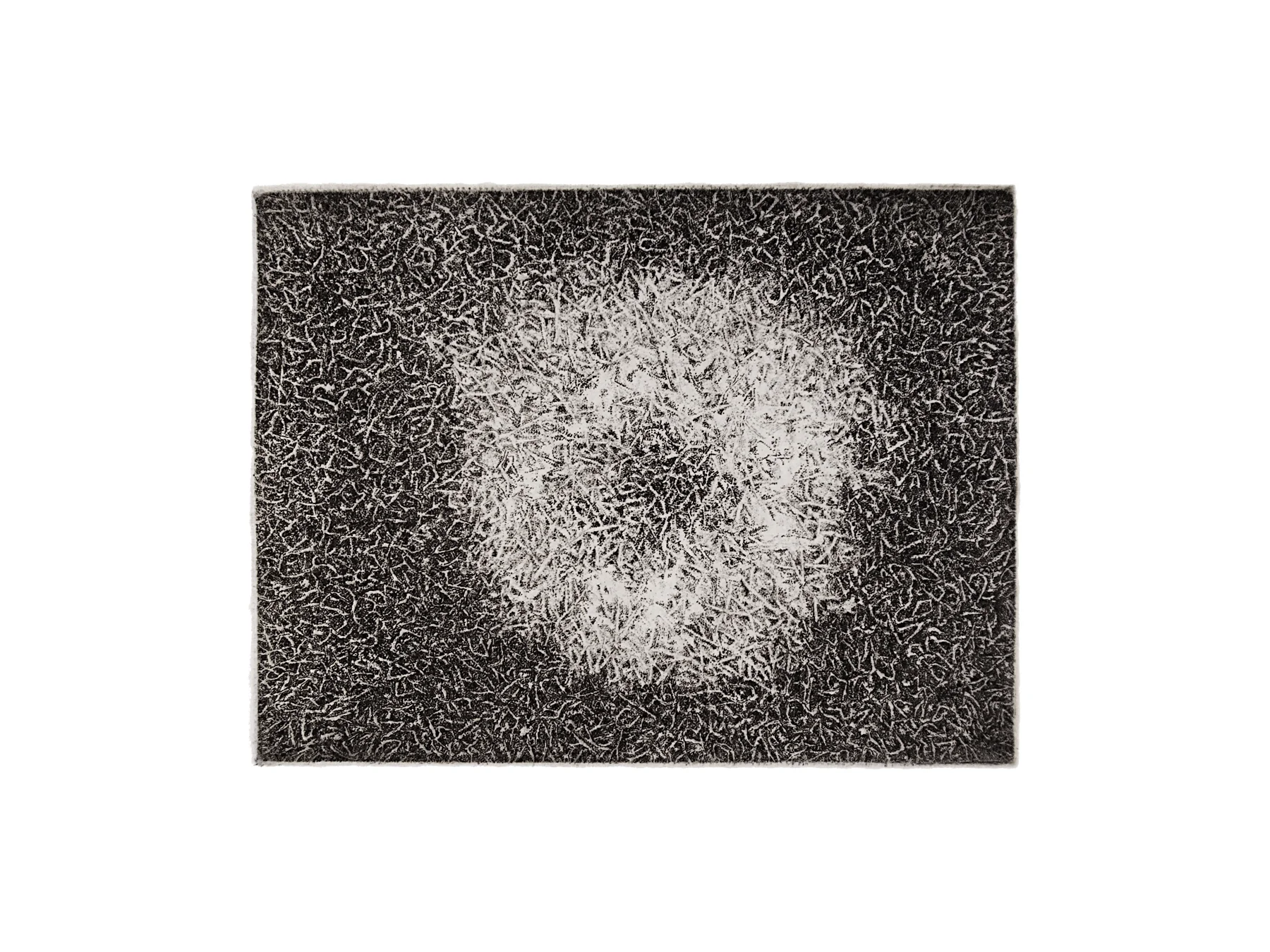 Necrotic Ring Spot #3, 2015