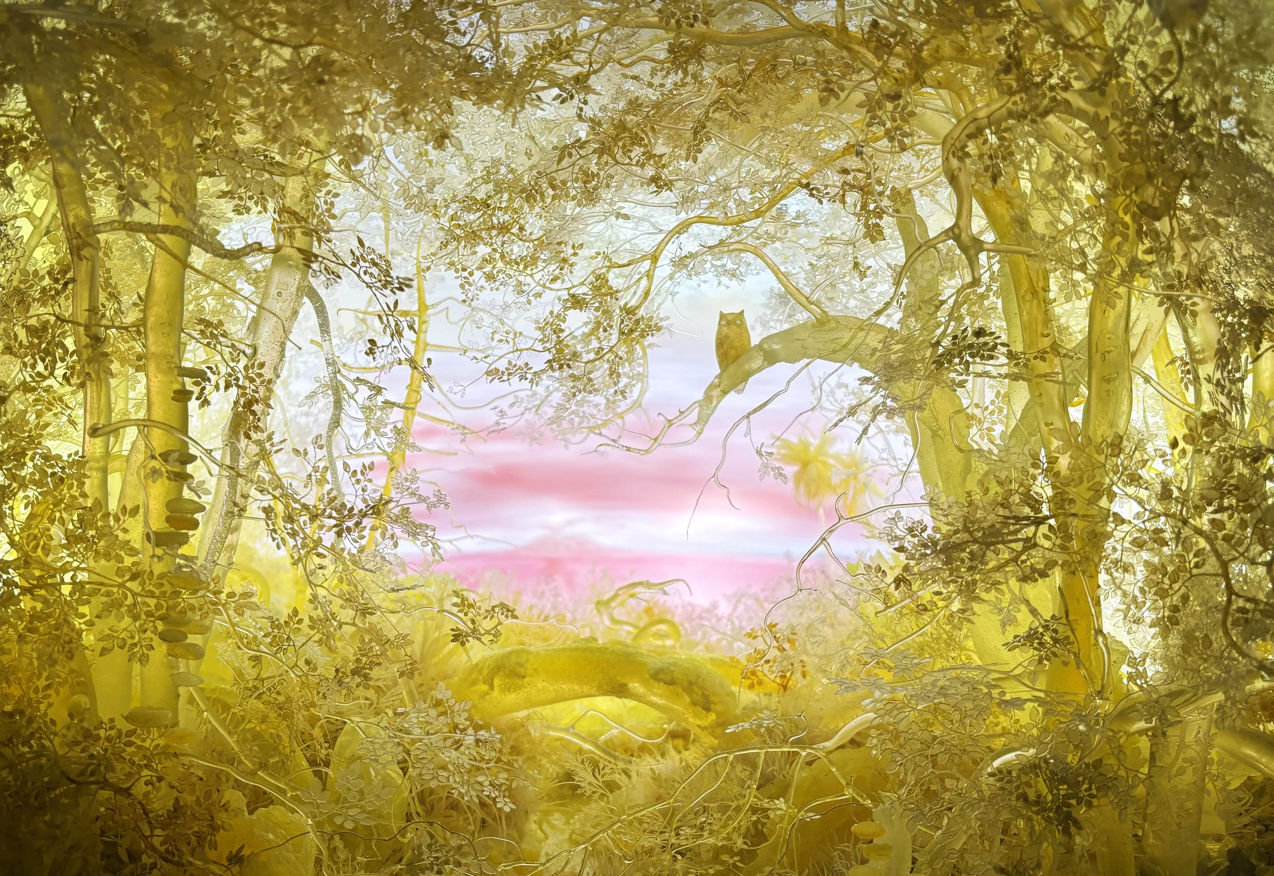 New Yellow Owl copy.jpg