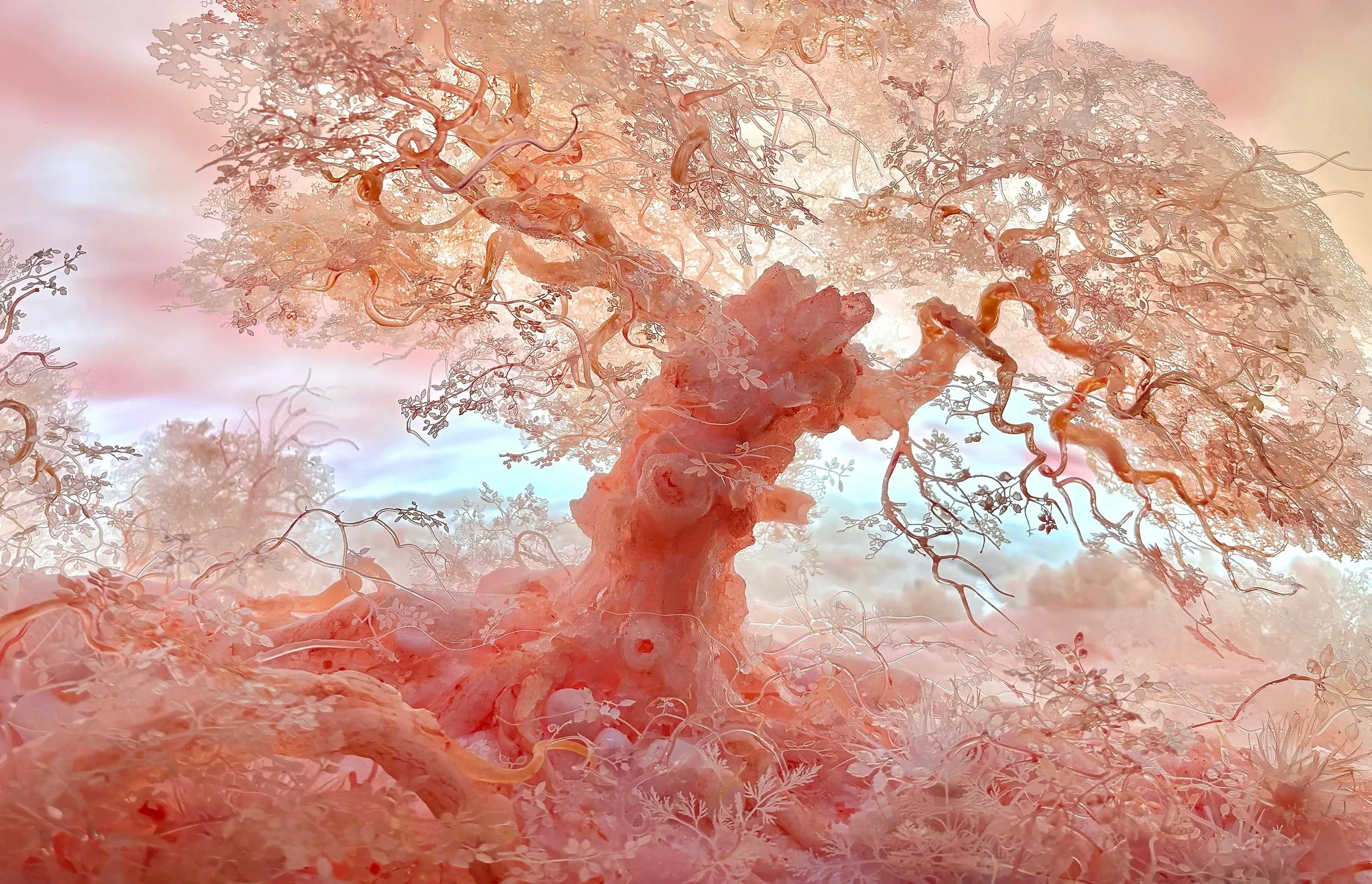 Pink Tree (Homepage)  SIX.jpg