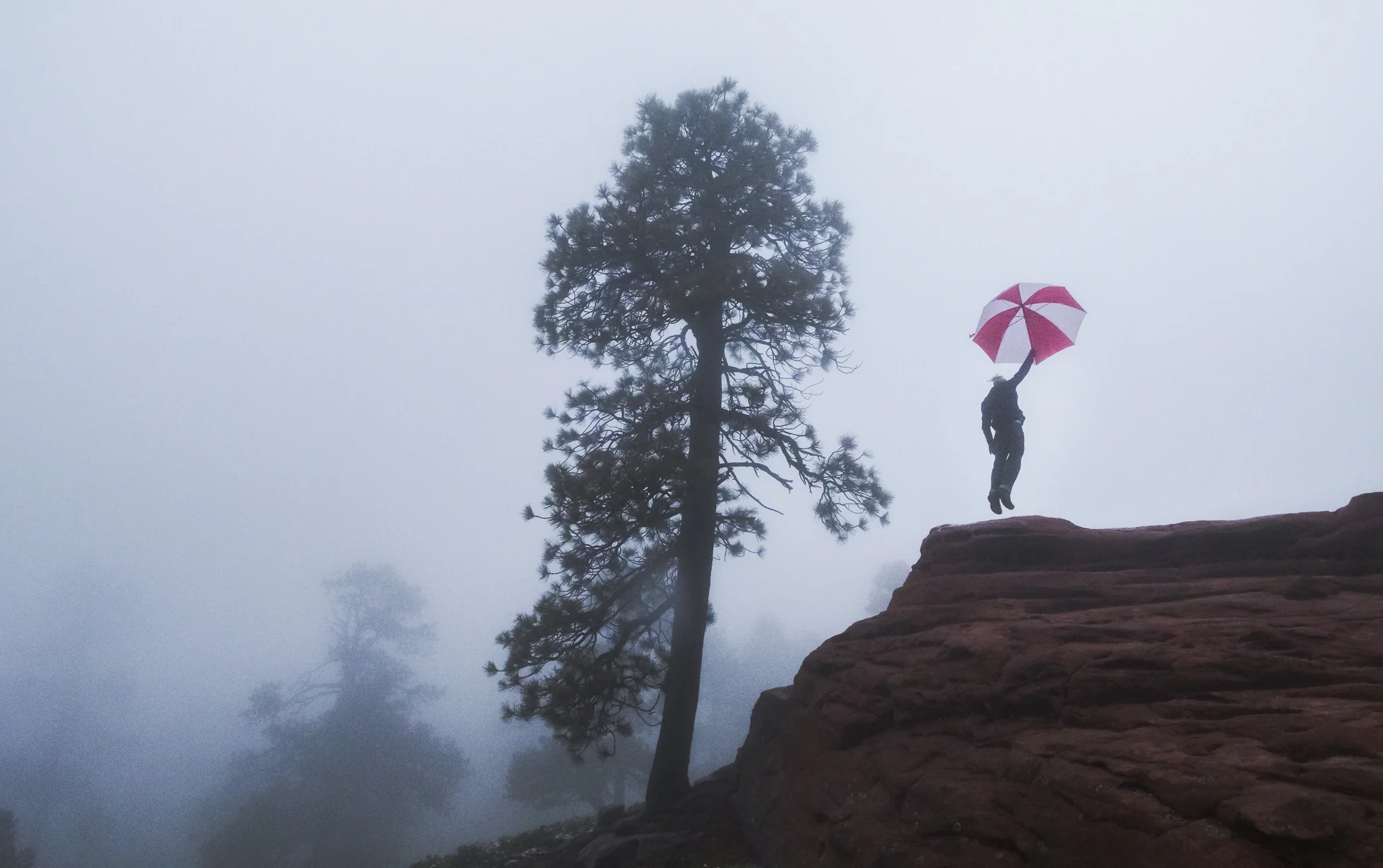Person holding pink and white umbrella standing on rocky ledge with pine tree and foggy background.