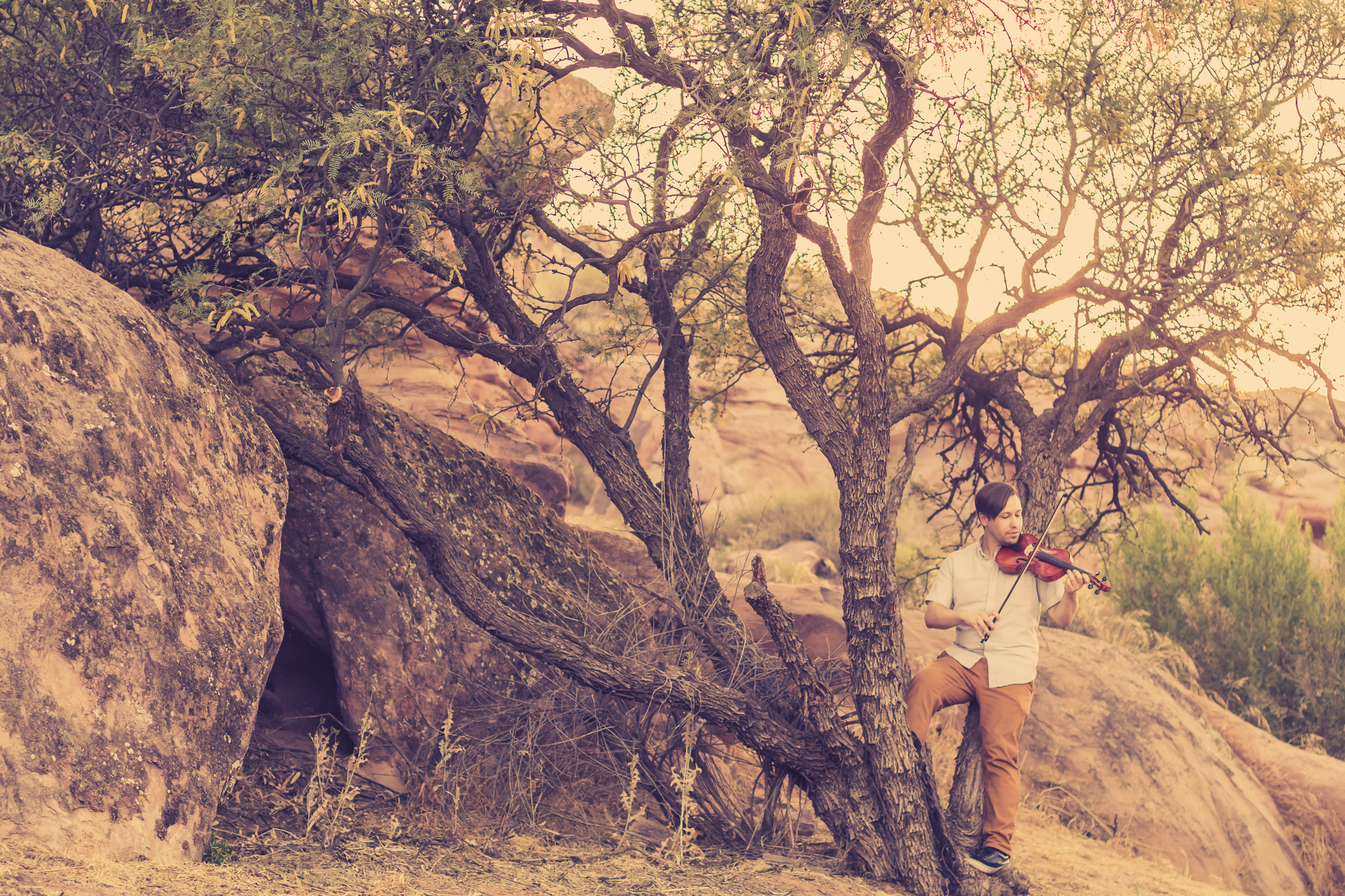 A man playing the violin outdoors under a tree with rocks and dry grass around, during sunset or sunrise.