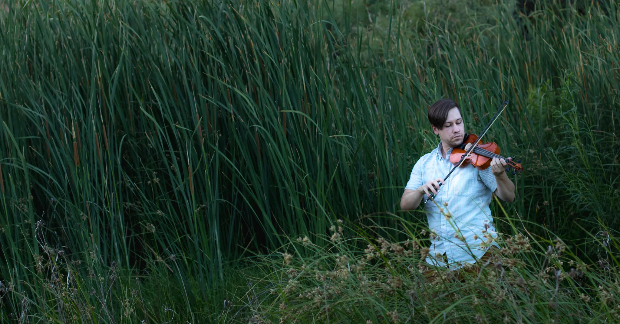 A young man plays the violin in a field of tall green grass and reeds.