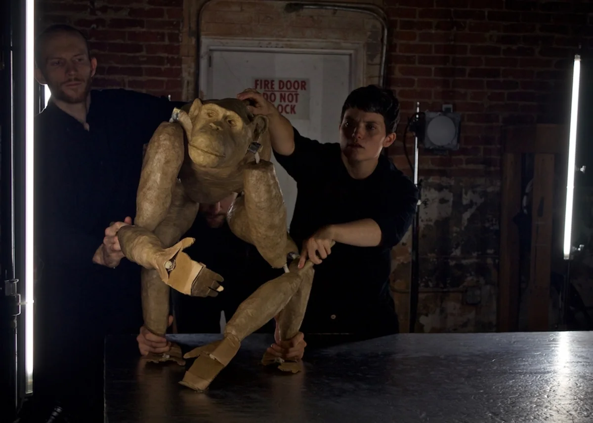 chimp 1 mk copy.jpg