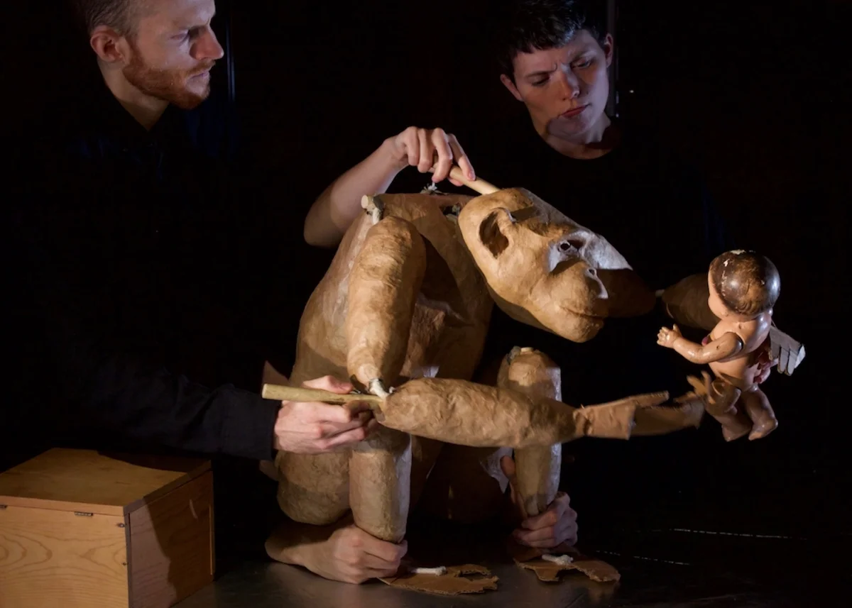 chimp 7 mk copy.jpg