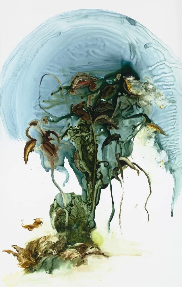 Medulla