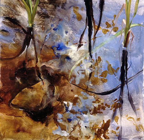 Reflected Patterns of Rock and Water