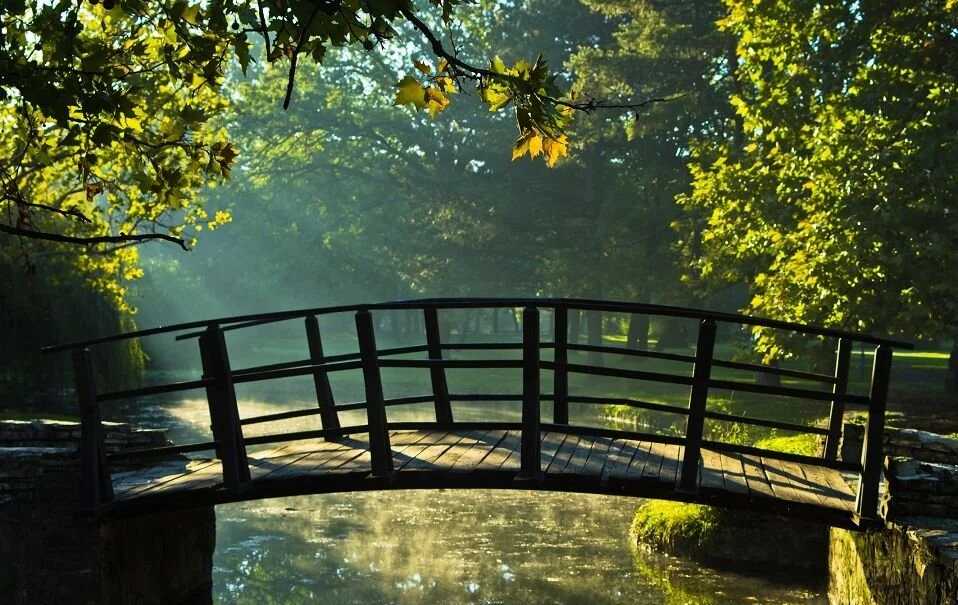 Conflict Transformation