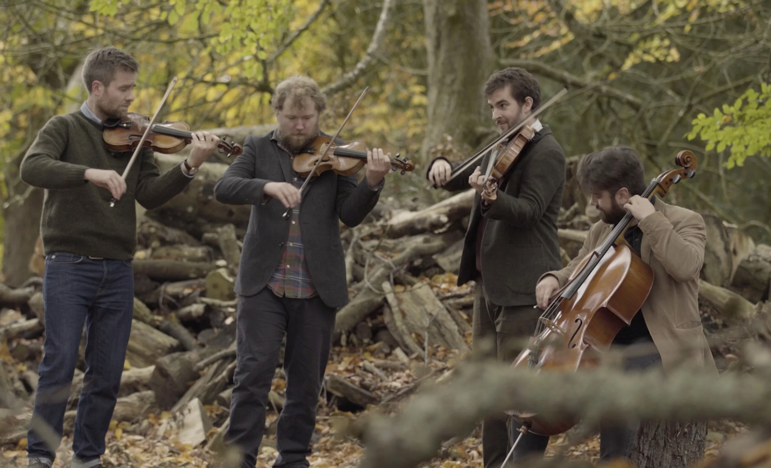 MaxwellQuartet_Woodland.jpg
