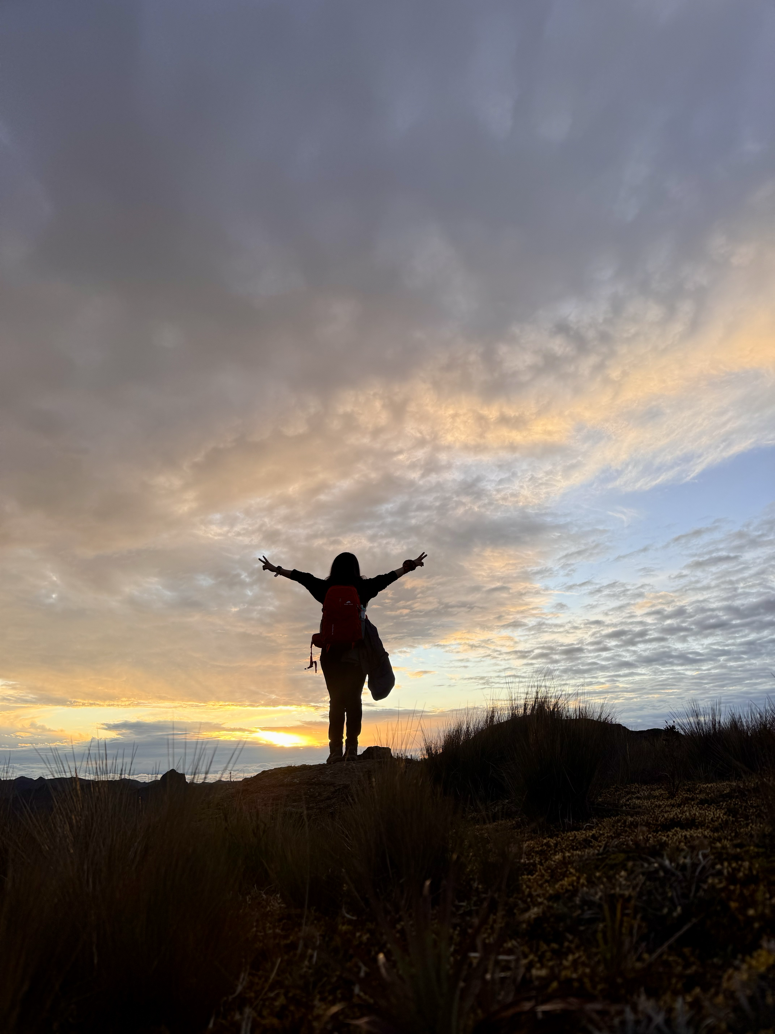 Persona con mochila en un paisaje con atardecer, levantando los brazos en señal de alegría.