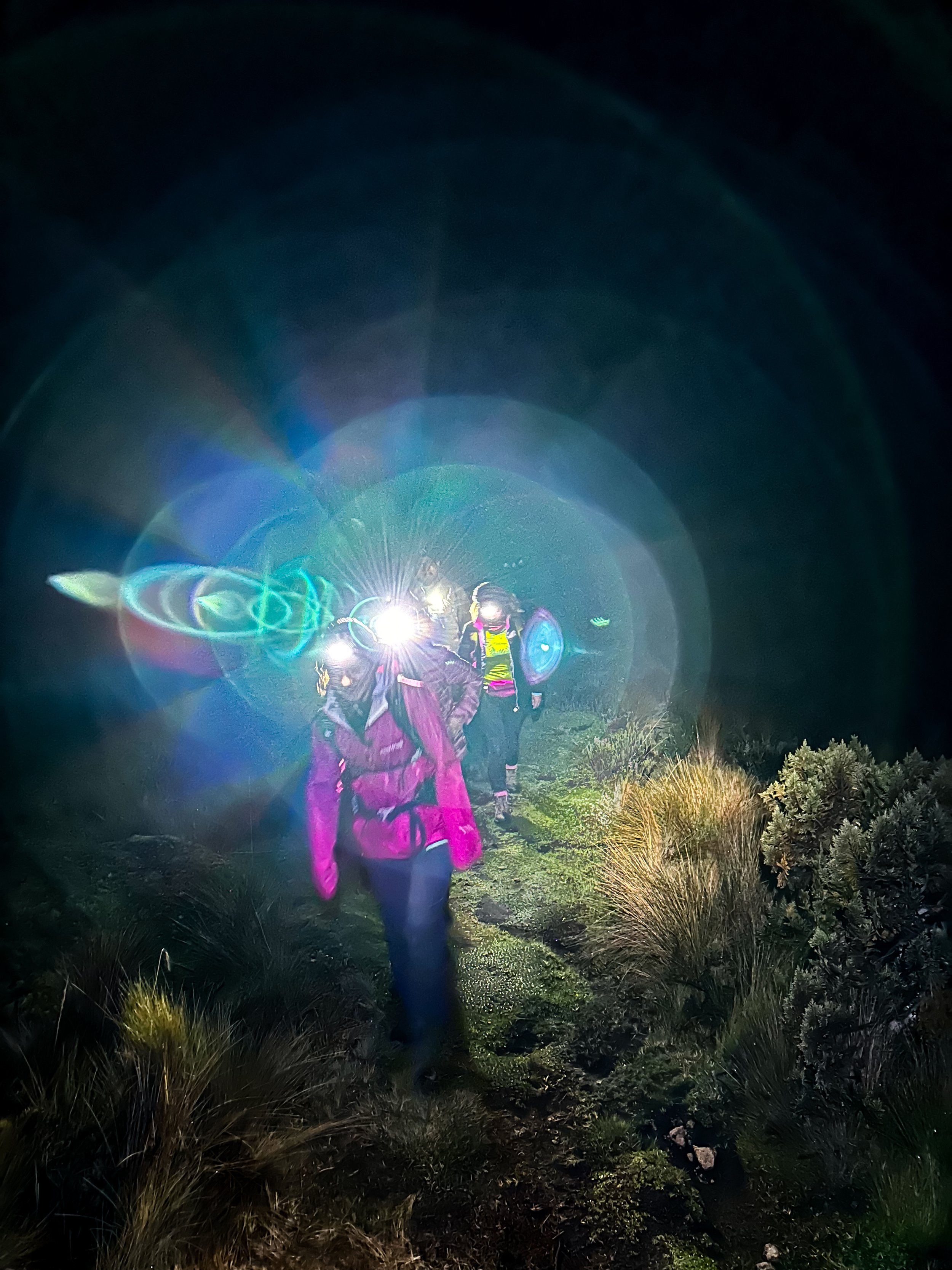 6D4C5746-5030-4988-A05C-04EAFE8FF5F0.JPEG