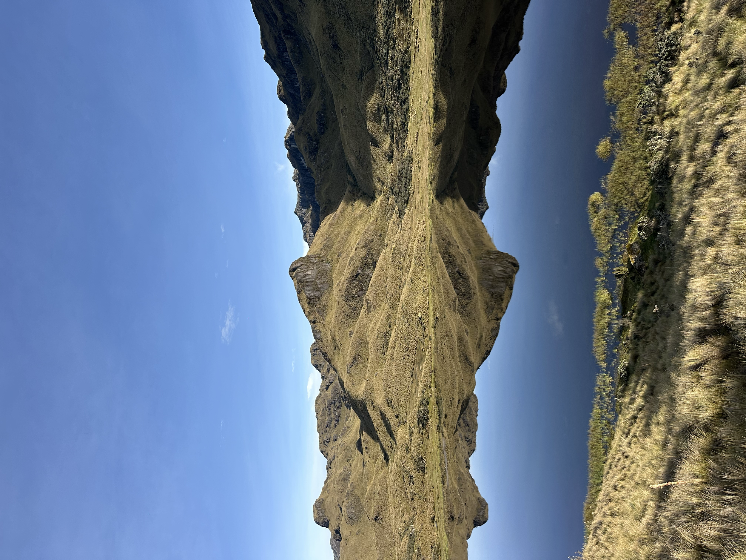 IMG_0163Zn00em.png