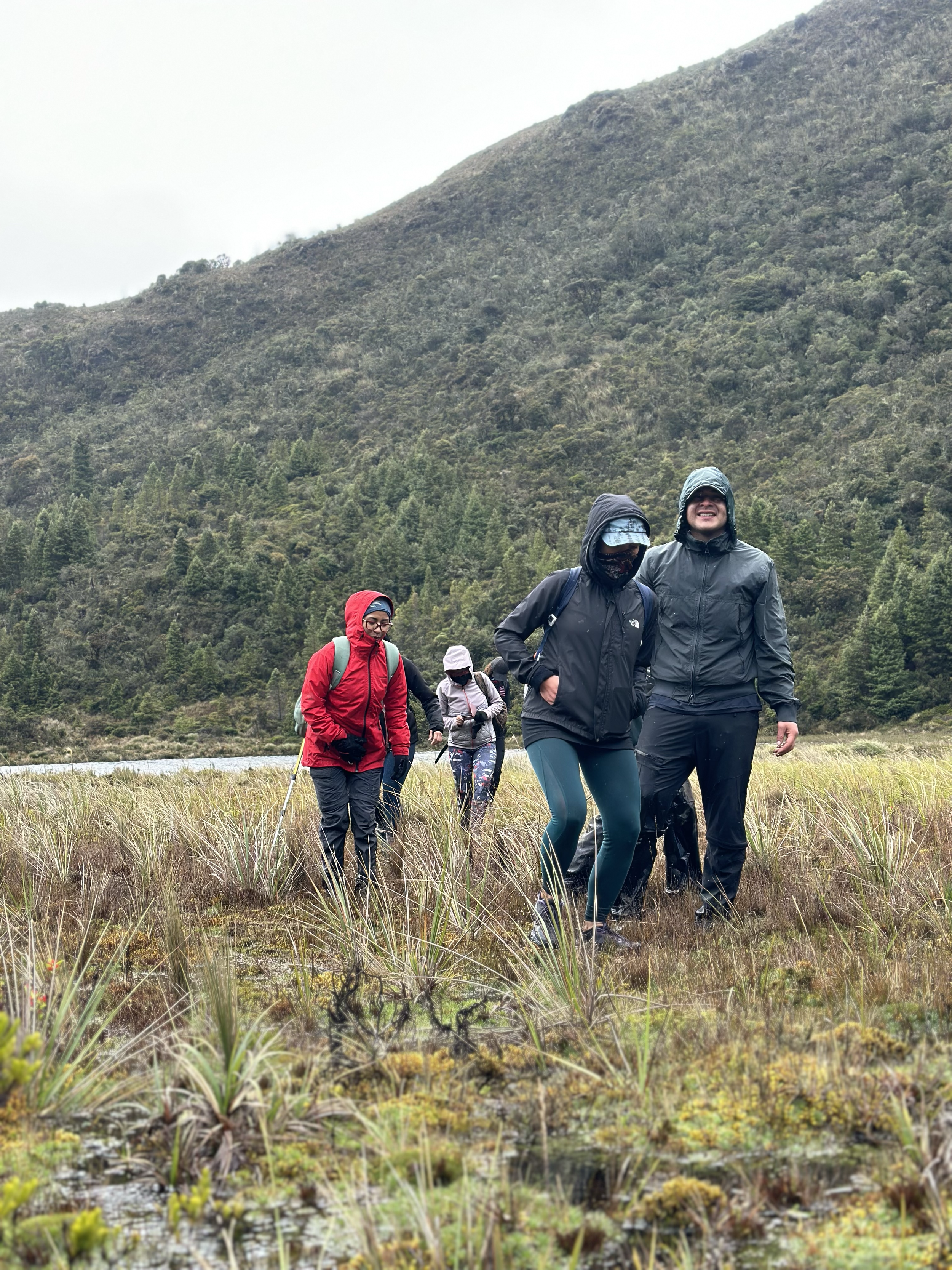 Grupo de personas haciendo senderismo en un área de césped y plantas, con montañas en el fondo y cielo nublado.