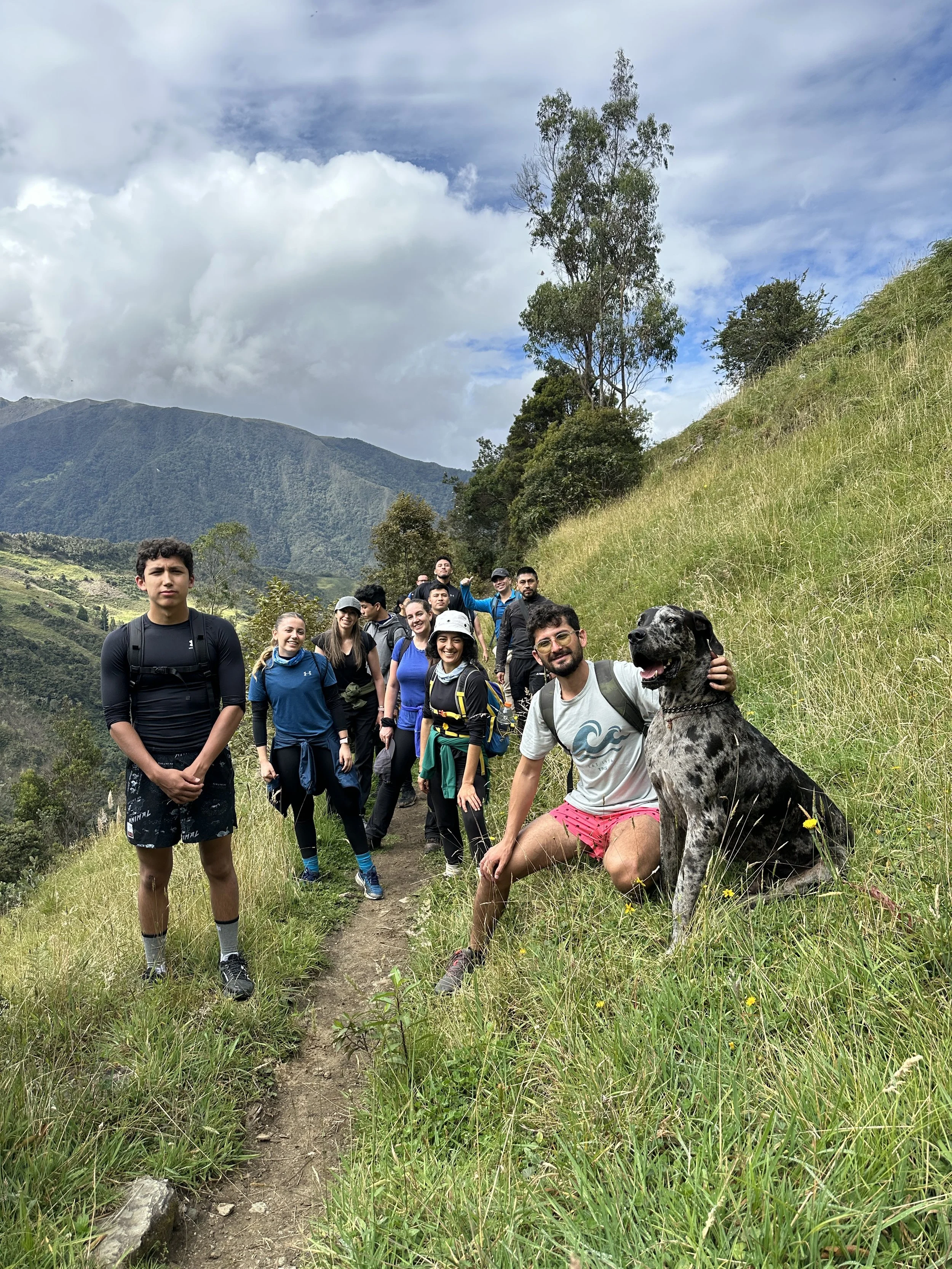 Grupo de personas haciendo senderismo en un sendero en una zona montañosa con árboles y un cielo parcialmente nublado, acompañado de un perro grande de pelaje manchado sentado en la hierba.