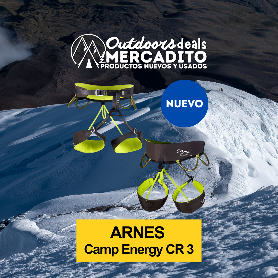 ARNES ESCALADA