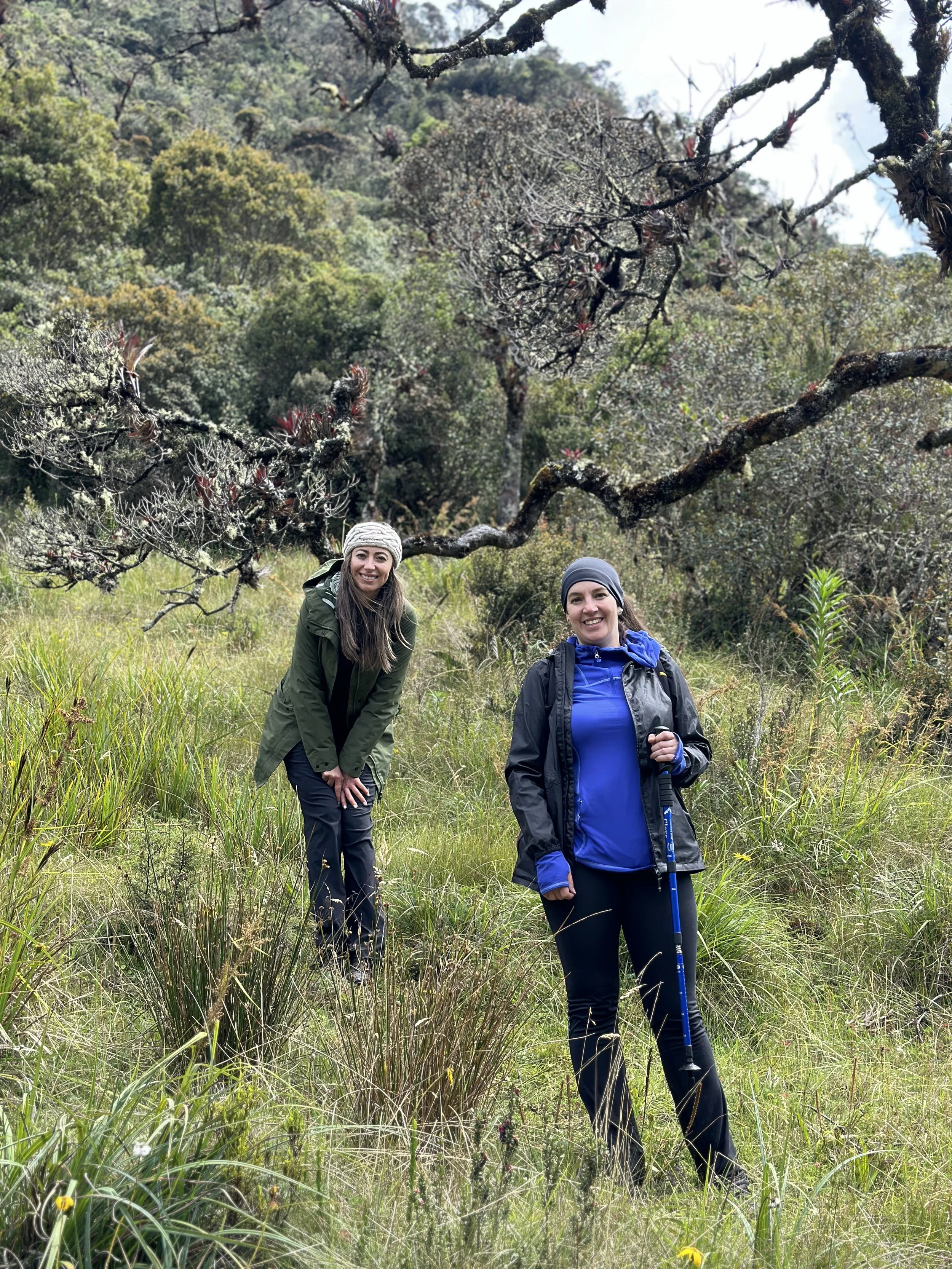 Dos mujeres haciendo senderismo en un área de vegetación densa con árboles en un paisaje montañoso.
