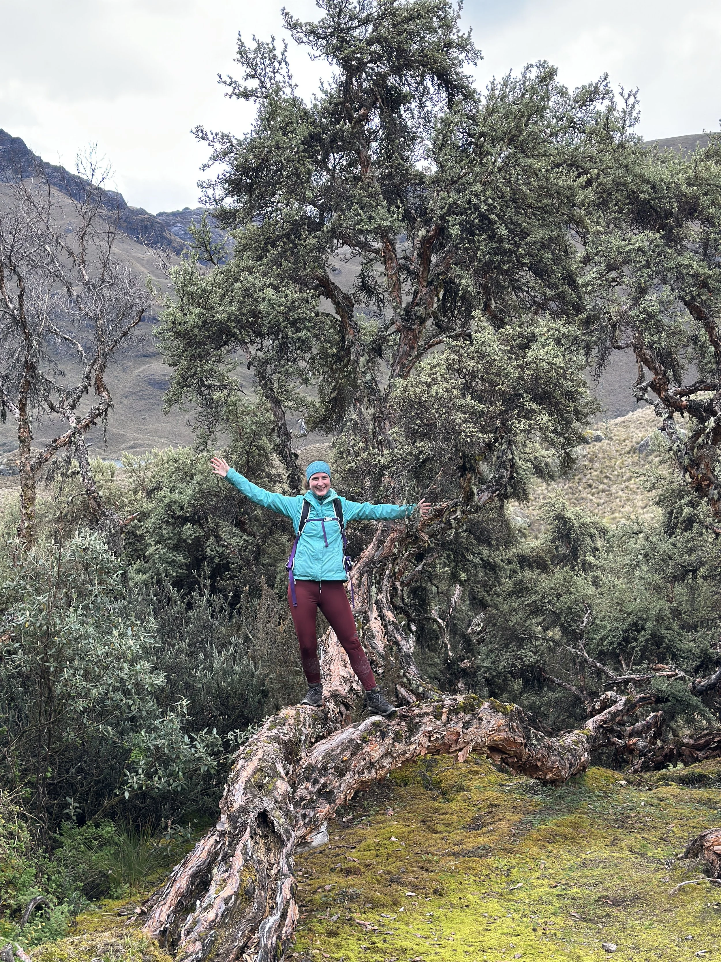 Mujer sonriendo con brazos abiertos sobre una rama de árbol en un paisaje de montaña y vegetación.