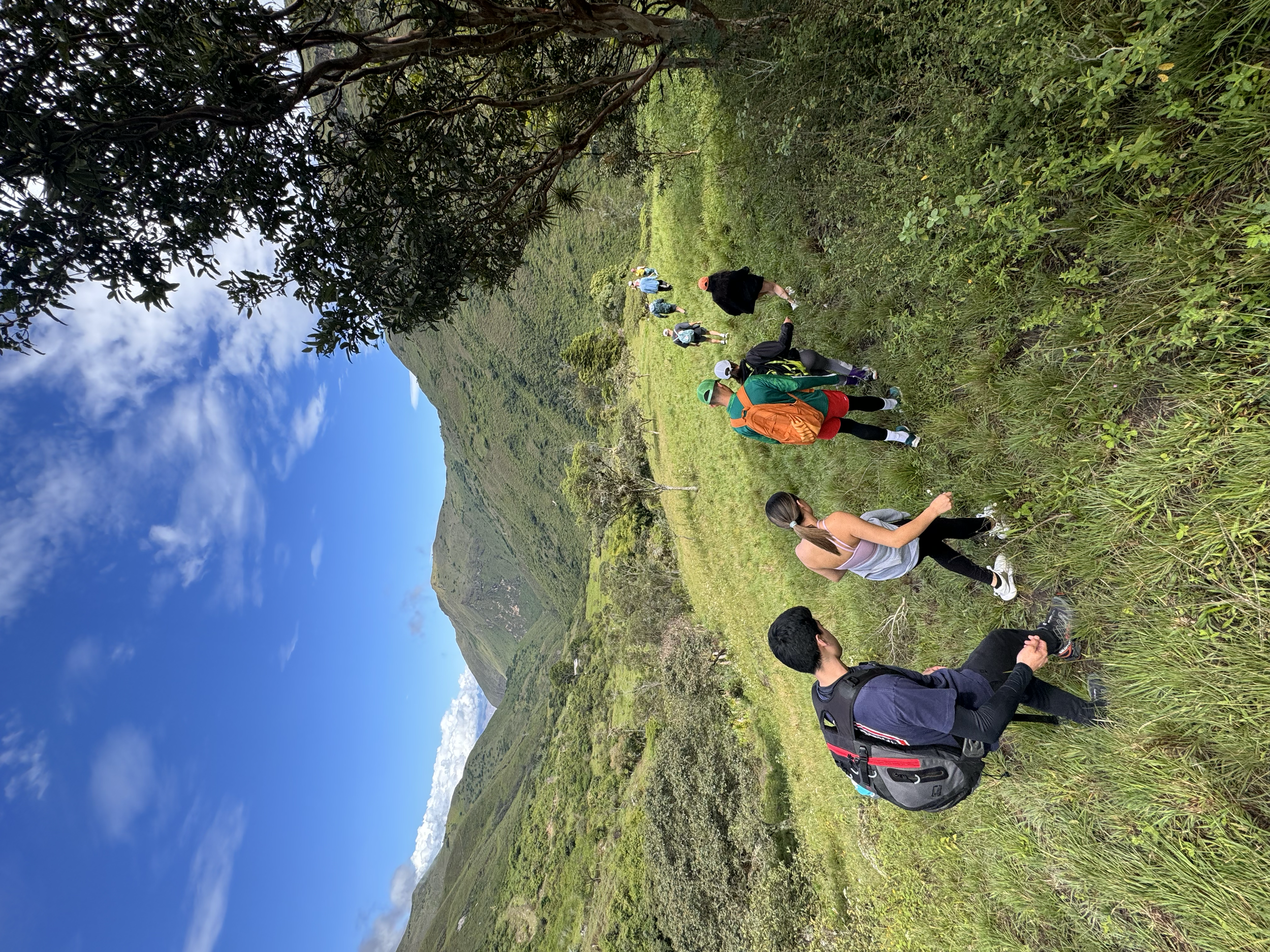 Grupo de personas caminando por un sendero en una zona de montaña con vegetación y cielos despejados.