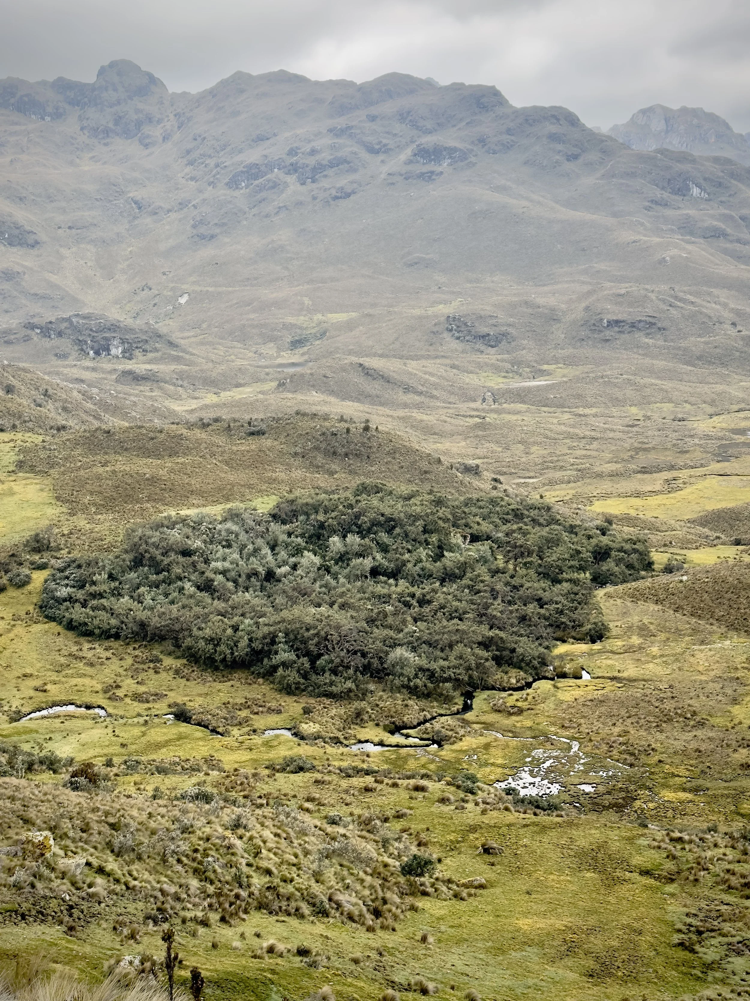Paisaje montañoso con vegetación y pequeños cuerpos de agua, bajo un cielo nublado.