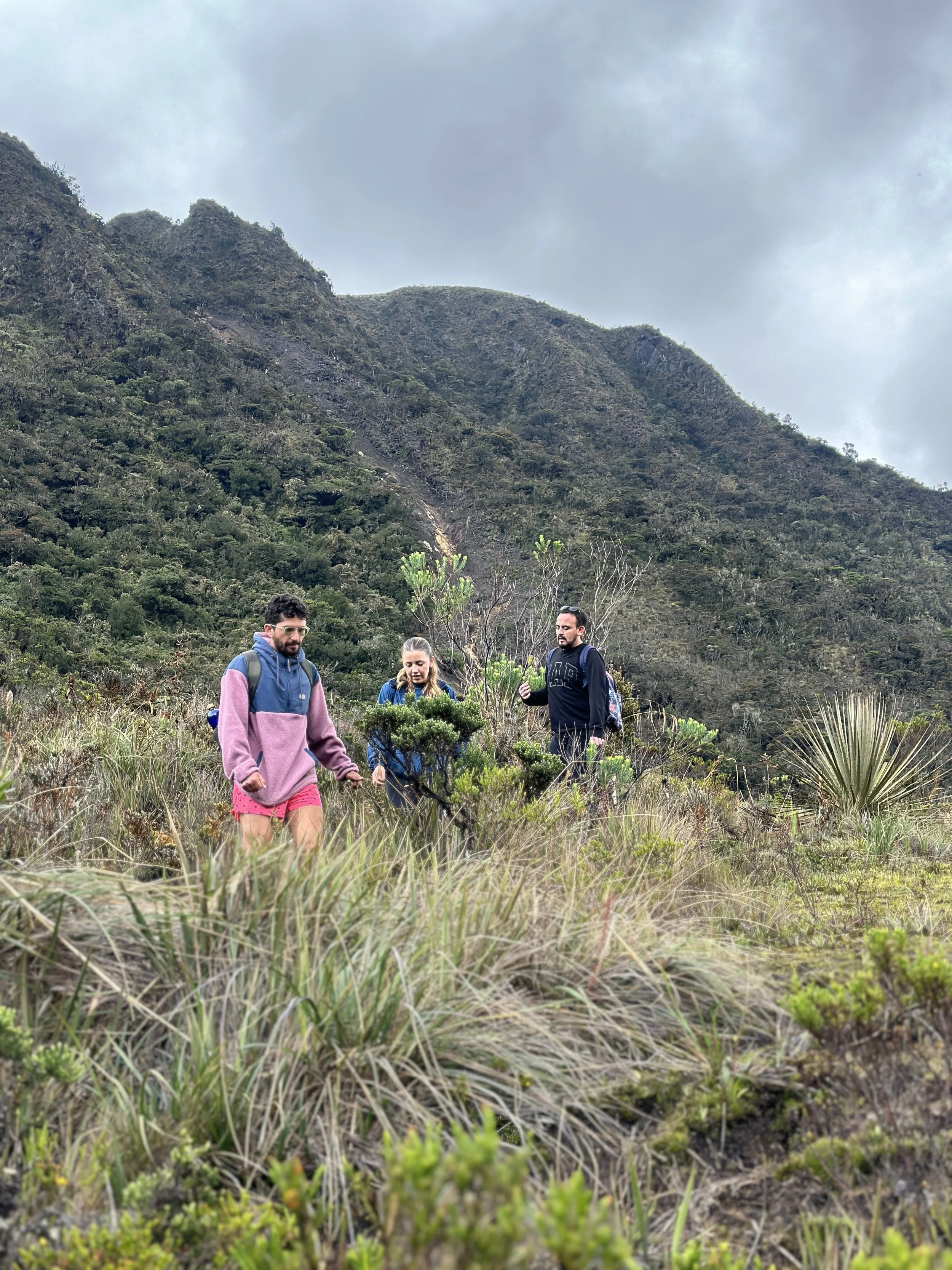 Tres personas caminando por un paisaje montañoso con vegetación, vestidas con ropa de senderismo