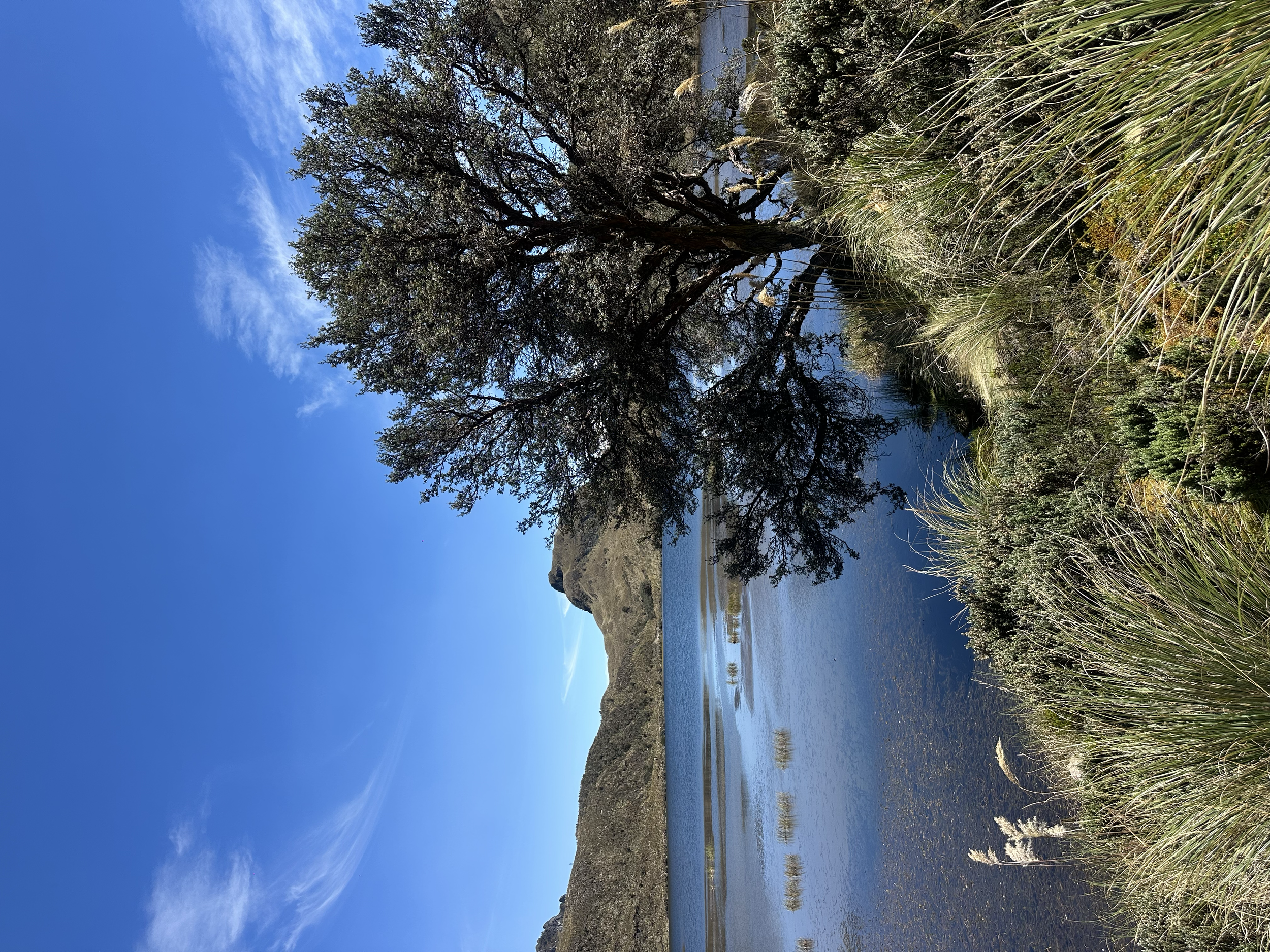 IMG_9782F85rcw.png