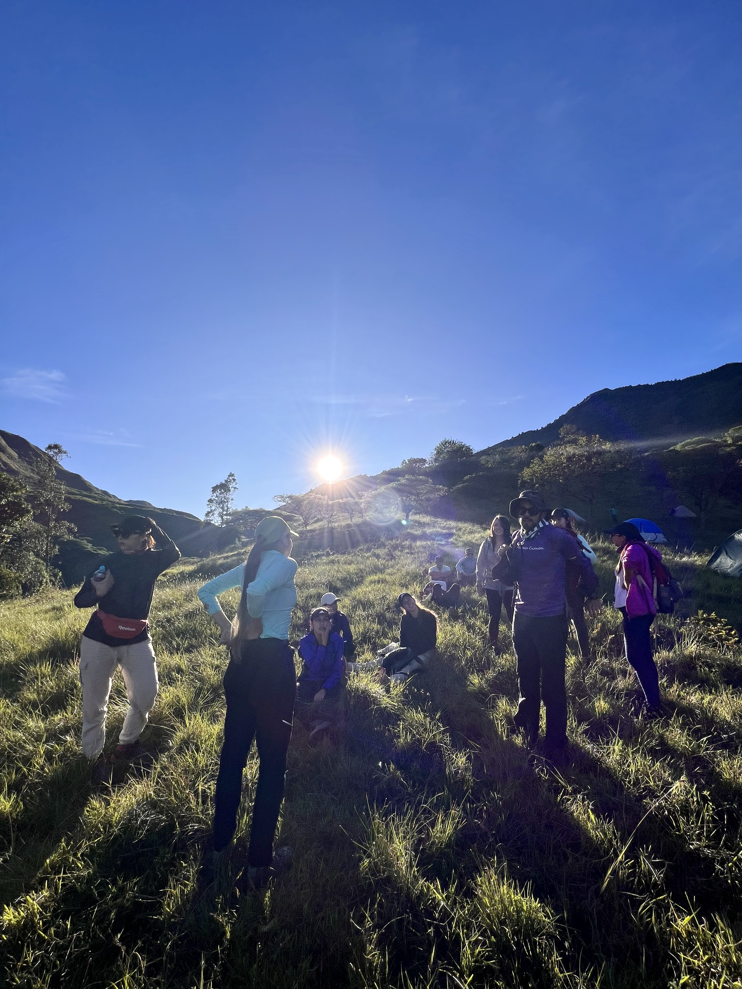 Grupo de personas procurando en una colina con hierba, bajo un cielo despejado con el sol brillante en el horizonte.