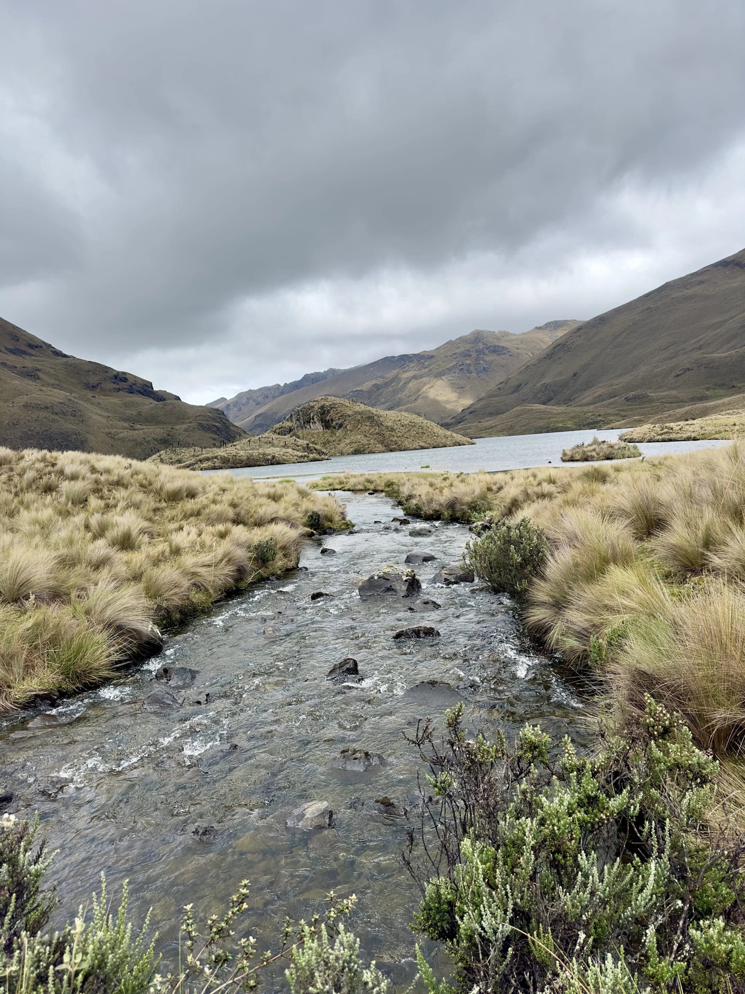 Paisaje montañoso con río y lago en un día nublado, vegetación de pasto y arbustos en primer plano.