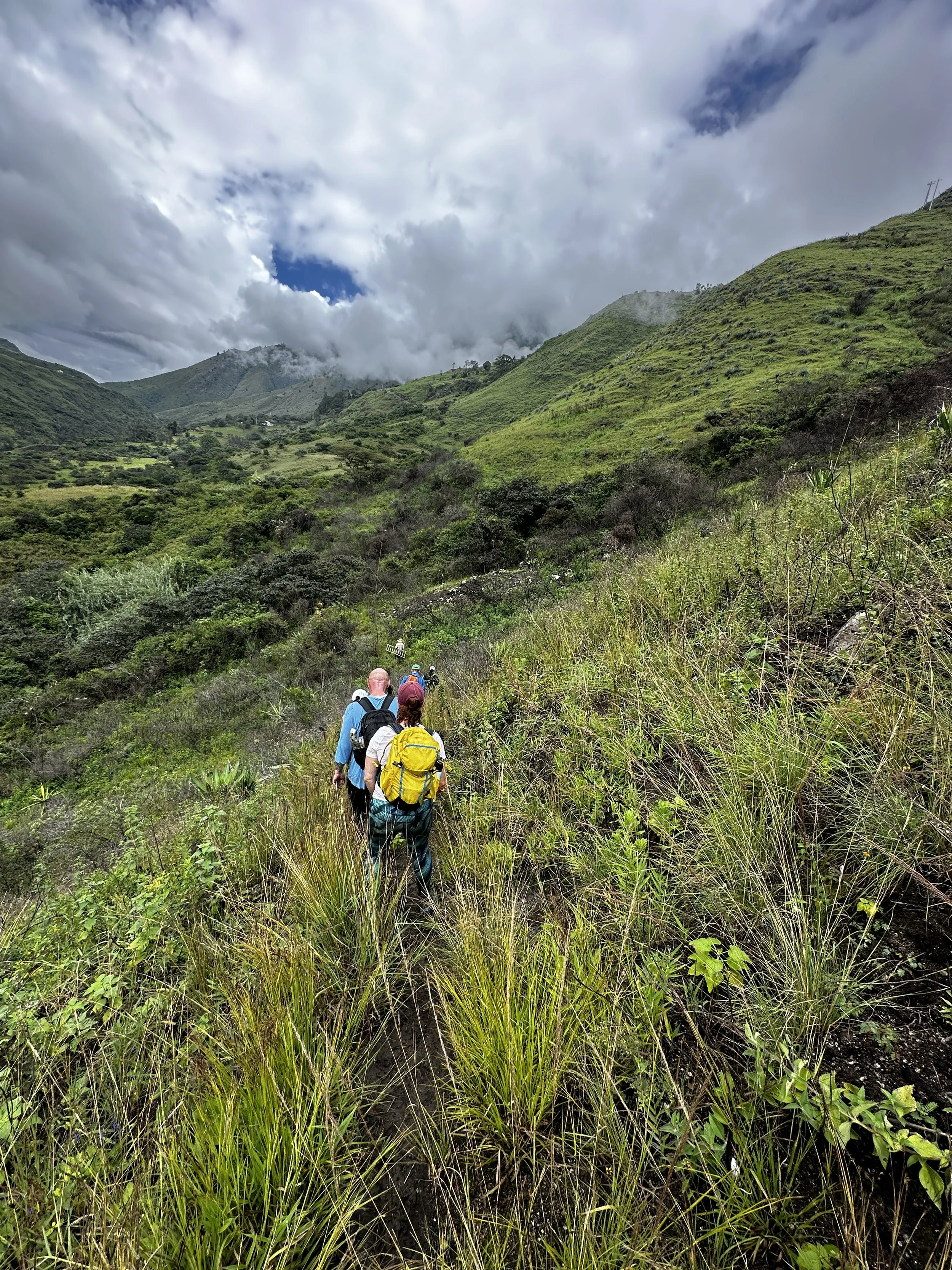Personas haciendo senderismo en una zona montañosa con vegetación abundante y cielos nublados.