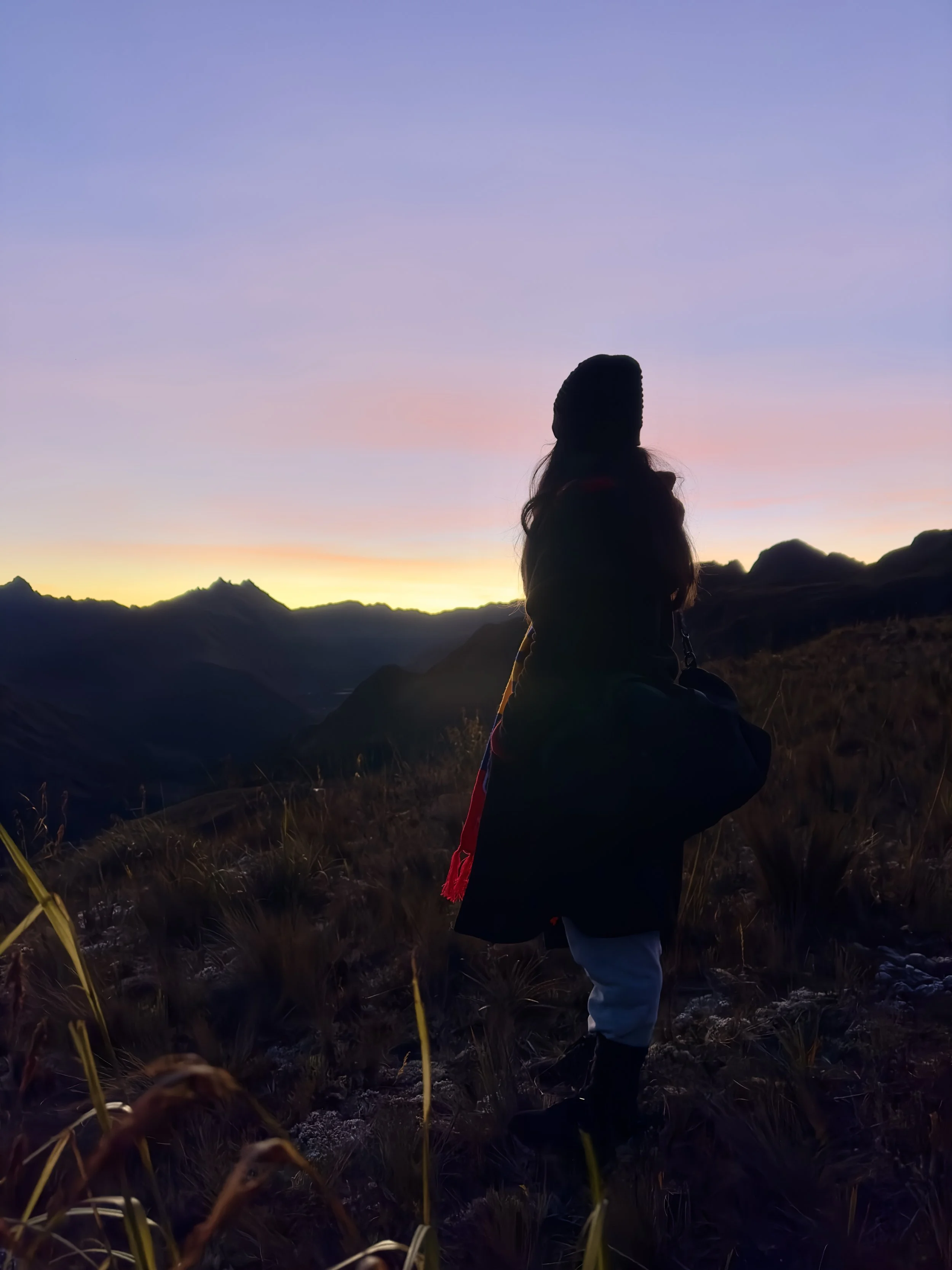 Silueta de una persona de espaldas en un paisaje montañoso durante el atardecer, con cielo en tonos pastel.
