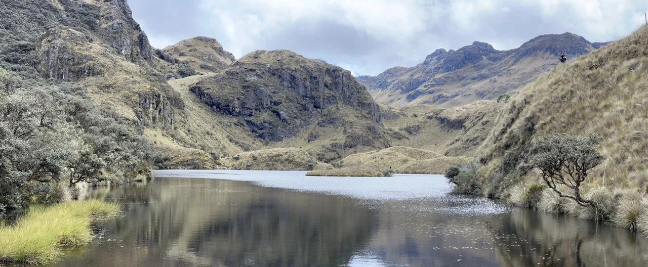 PHOTO-2026-01-19-16-49-04 2.jpg