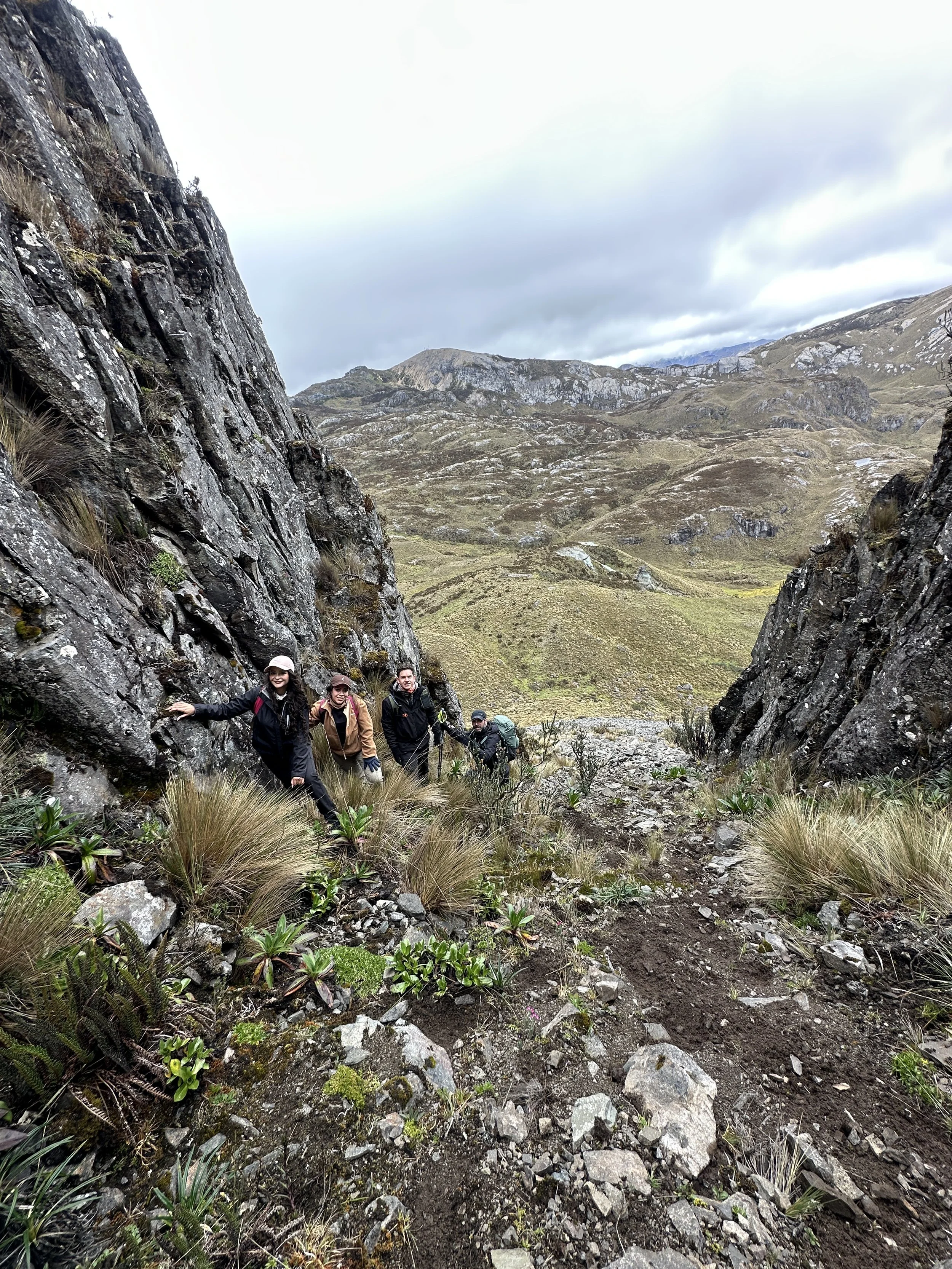 Grupo de personas haciendo senderismo en una zona montañosa entre rocas y vegetación.