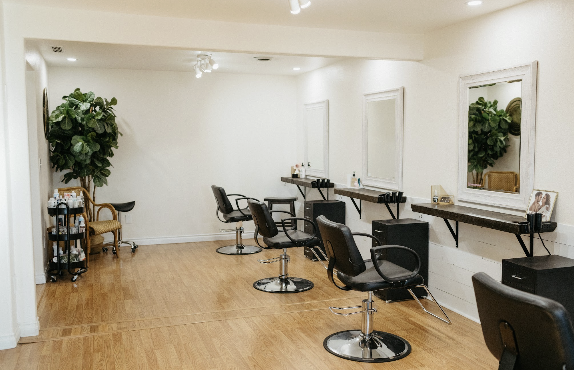 Choosing the Right Service for Your Needs