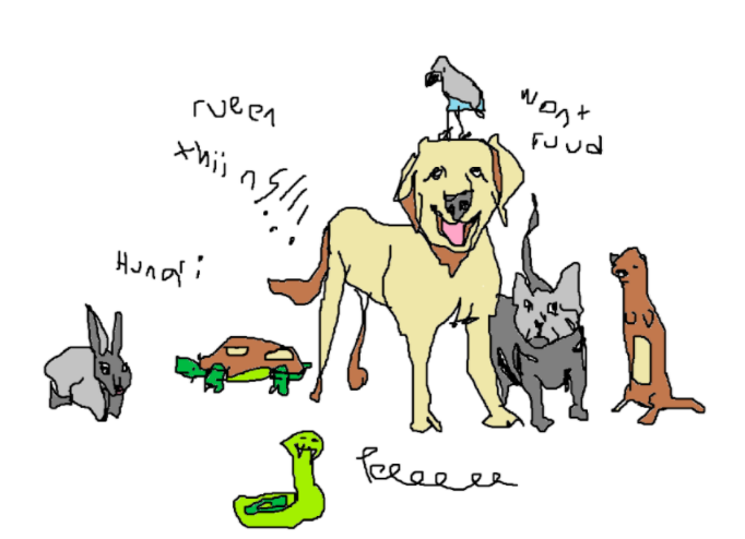 Having pets at home can decrease high school students’ stress levels during quarantine