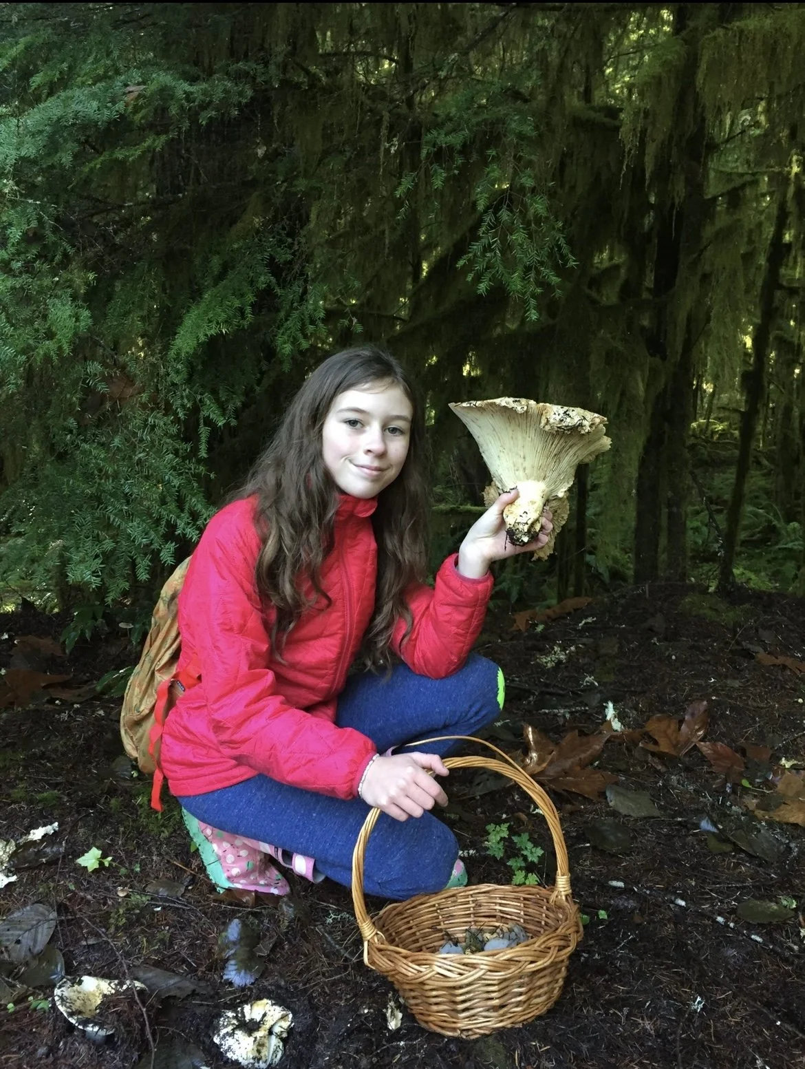 Become a mushroom foraging master