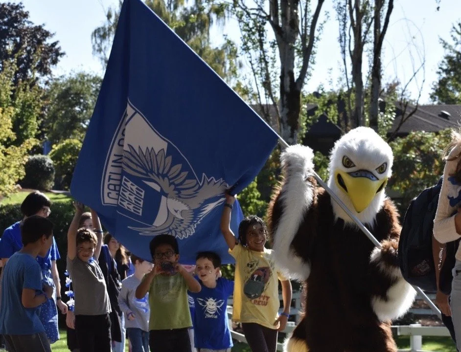 The inside Swoop on the Catlin Eagle 