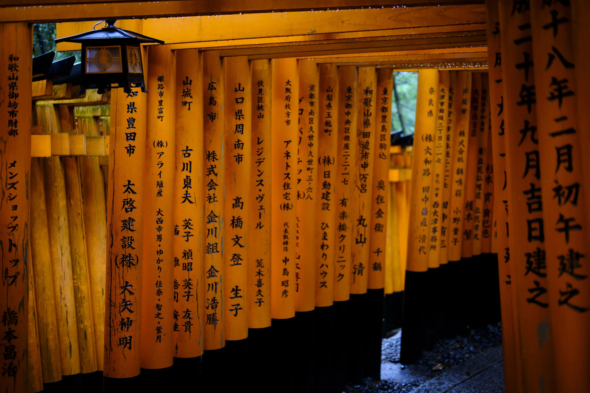 japan__1518.JPG