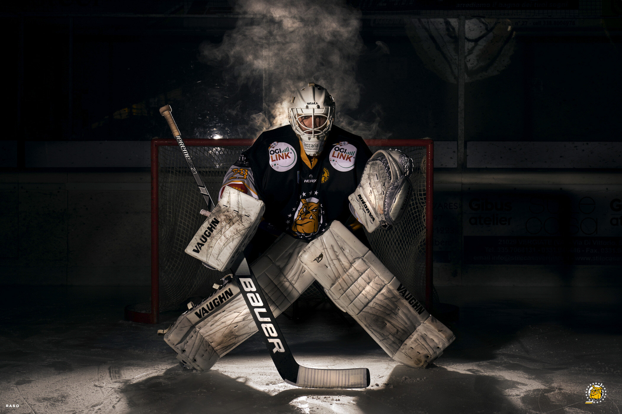 mastini_T3_0230 2.JPG