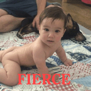 146471416298.gif